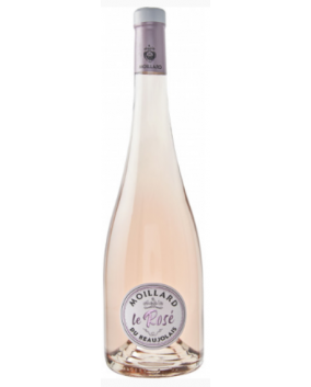 Moillard Le Rose du Beaujolais 2020 | Franta